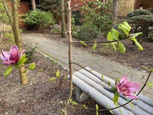 IMG_4558.jpeg