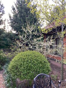 IMG_4578.jpeg