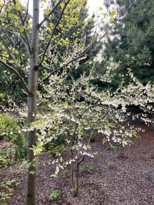IMG_4577.jpeg