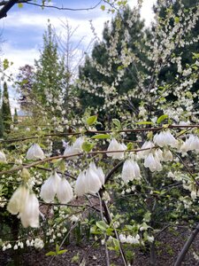 IMG_4575.jpeg