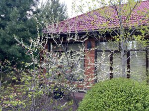 IMG_4574.jpeg