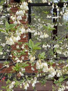 IMG_4626.jpeg