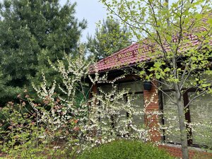 IMG_4623.jpeg