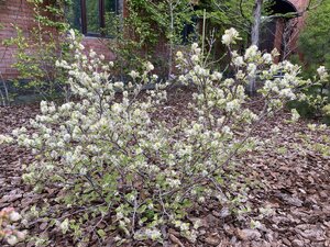 IMG_4564.jpeg