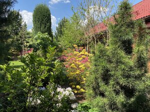IMG_4787.jpeg