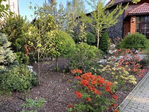 IMG_4777.jpeg