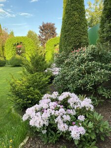 IMG_4772.jpeg