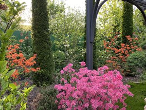 IMG_4771.jpeg