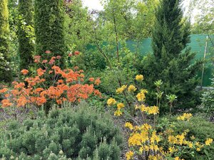 IMG_4766.jpeg