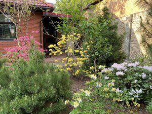 IMG_4760.jpeg