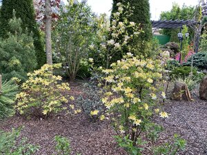 IMG_4758.jpeg