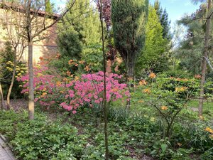 IMG_4755.jpeg