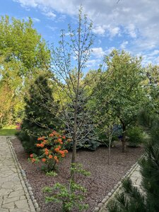 IMG_4748.jpeg