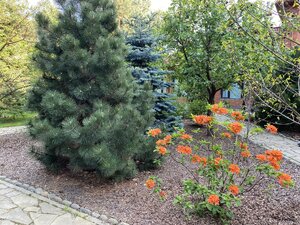 IMG_4743.jpeg
