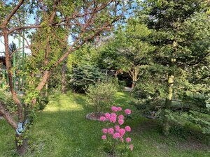 IMG_4742.jpeg