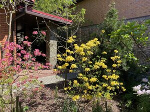 IMG_4722.jpeg