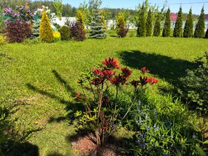 IMG_20250525_202554.jpg