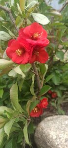 bb758765-ed99-479d-b5f6-5661b2e705c2.jpg