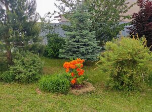 IMG_20250602_200935.jpg