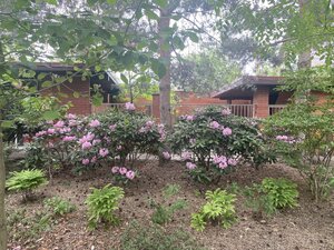 IMG_4928.jpeg
