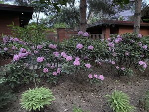 IMG_4877.jpeg
