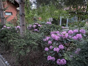 IMG_4878.jpeg