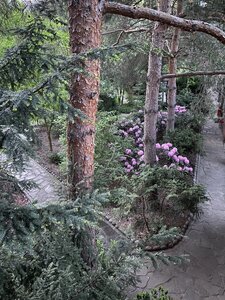 IMG_4880.jpeg