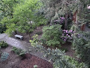 IMG_4881.jpeg
