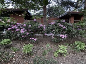 IMG_4876.jpeg