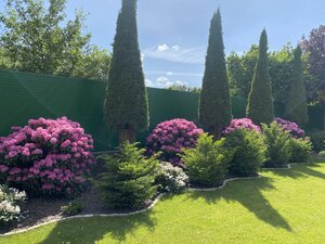 IMG_4892.jpeg