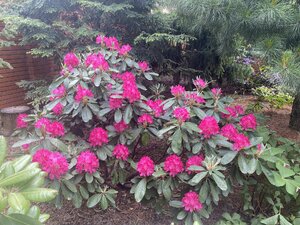 IMG_4900.jpeg