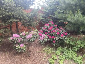IMG_4899.jpeg