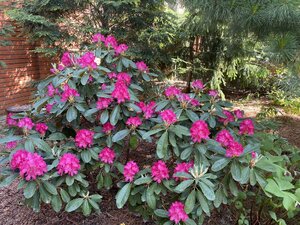 IMG_4891.jpeg