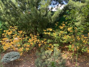 IMG_4956.jpeg