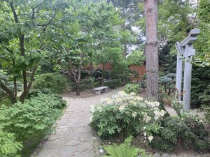IMG_4926.jpeg