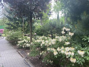 IMG_4922.jpeg