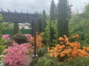 IMG_4918.jpeg