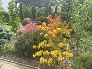 IMG_4916.jpeg