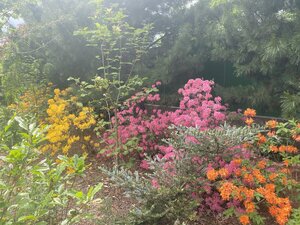 IMG_4912.jpeg