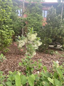 IMG_4923.jpeg