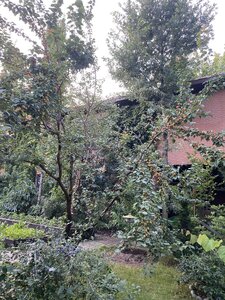IMG_5588.jpeg