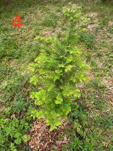 IMG_7193.jpeg