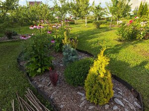 IMG_20250803_174737.jpg