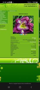 Screenshot_20251107_222658_Yandex Browser.jpg
