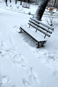 лавка.jpg