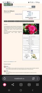 Screenshot_20260111_165044_Yandex Browser.jpg