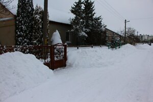 IMG_8237.JPG