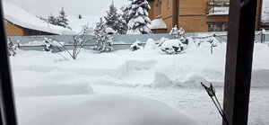 20260128_115222.jpg