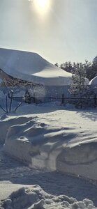 20260204_114831.jpg