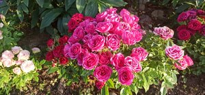 7bdfadc8-8662-4a80-b08b-cd3d3075a6e6.jpg